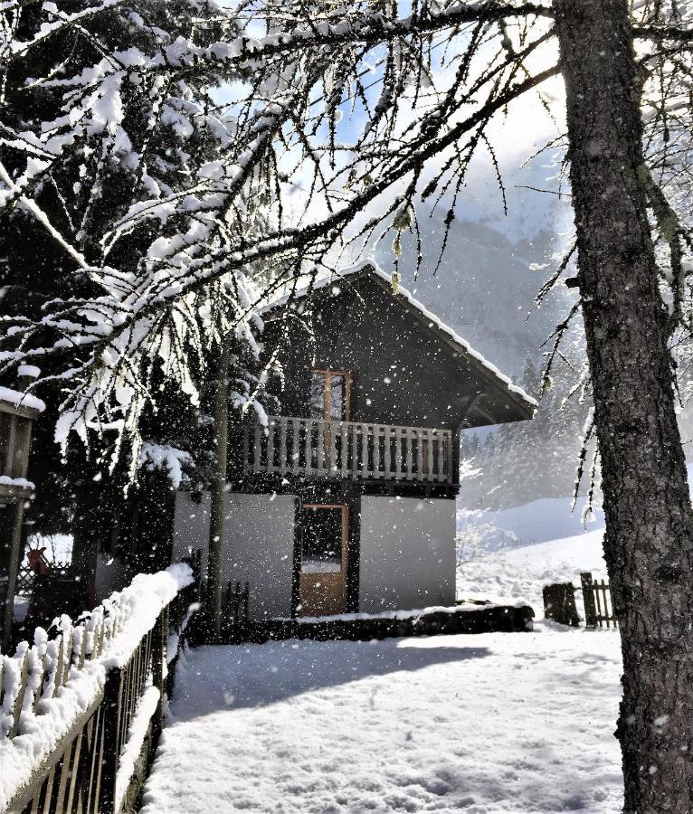 Guest House Du Grand Paradis - On Piste Champéry Exteriér fotografie